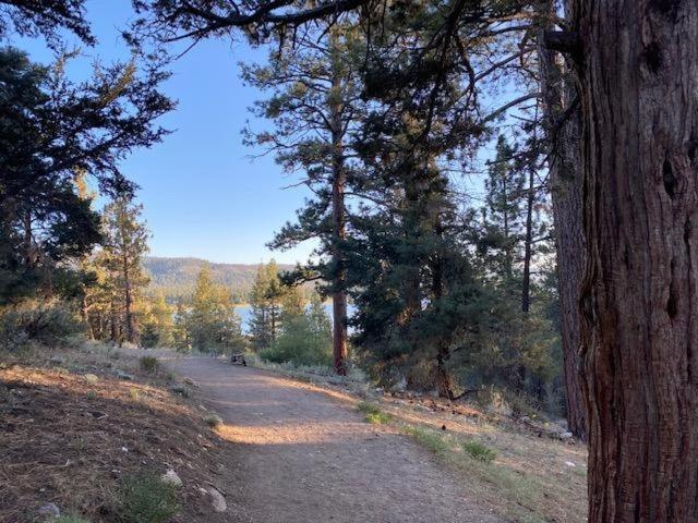 The Fox Paw Villa Big Bear Lake Dış mekan fotoğraf
